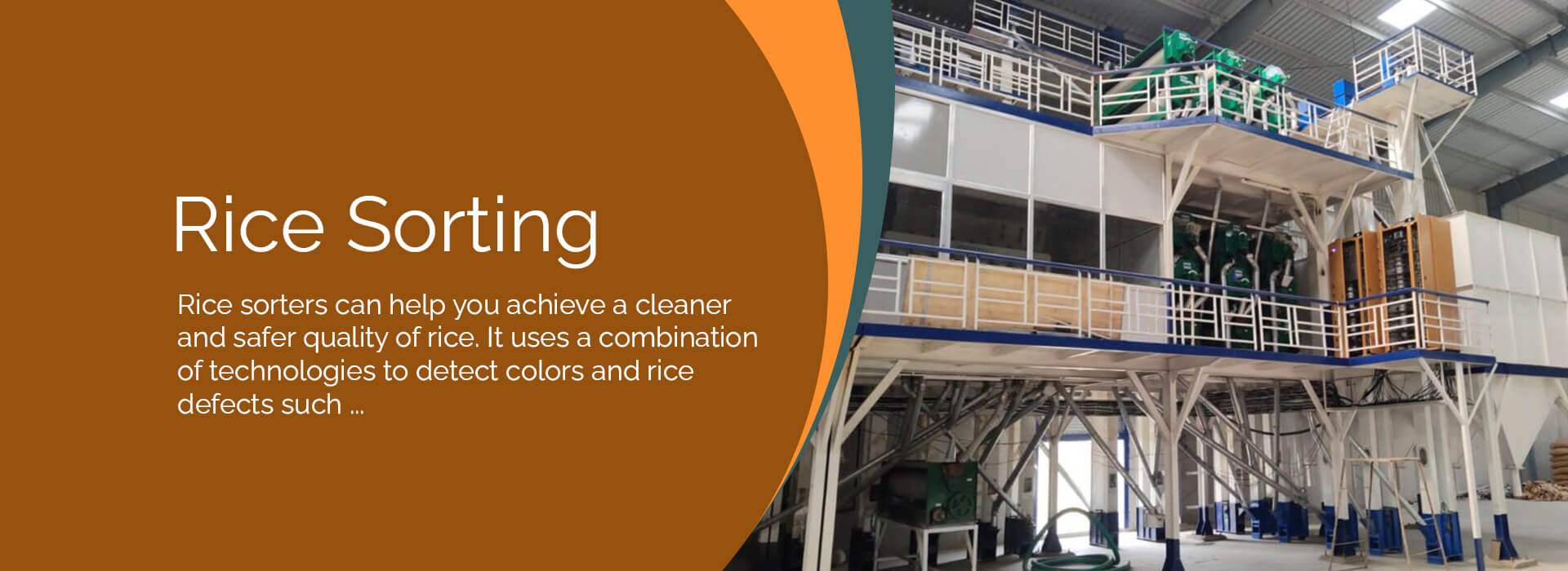 Rice-Sorting-1