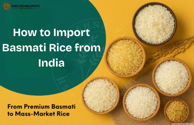 How to Import Basmati Rice from India