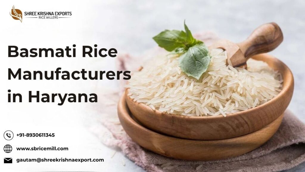 Basmati Rice Manufacturers in Haryana
