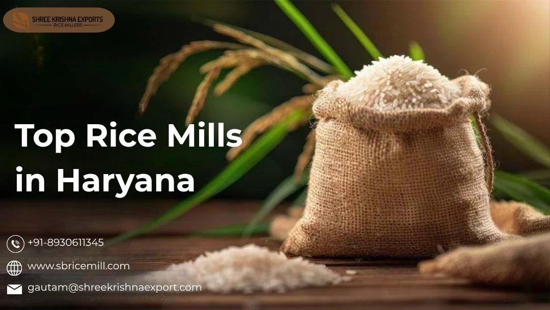 Top Rice Mills in Haryana