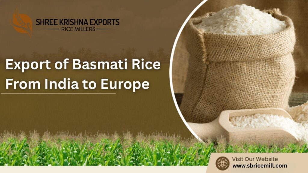 Export of Basmati Rice From India to Europe